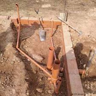 Cloaca