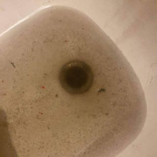 Destape de Ducha