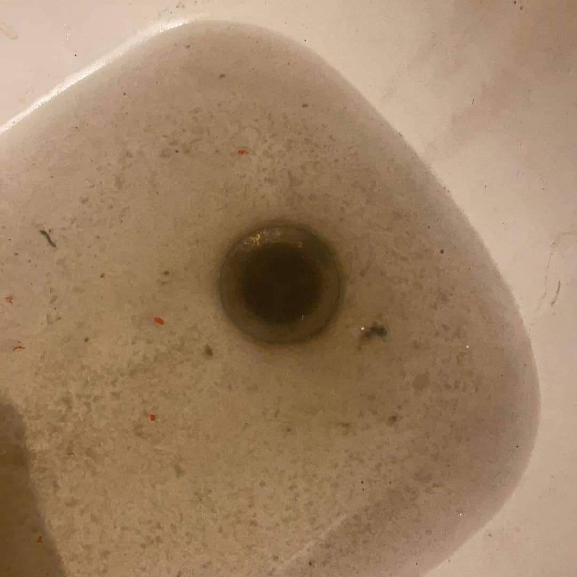 Destape de Ducha